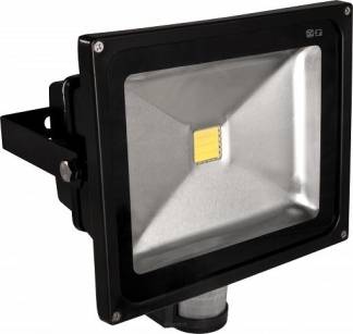 Projektor 50W, naświetlacz LED H-PCE-TGD17-6500K z czujnikiem ruchu, barwa biała zimna
