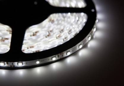 Taśma LED SMD 4,8W/m 12V biały zimny, LEDS-B 4,8W/M IP00 CW, krążek 5m